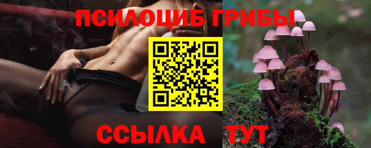 Псилоцибиновые грибы мухоморы  Вход с VPN  Псилоцибиновые грибы GOLDEN TEACHER  Электрогорск 