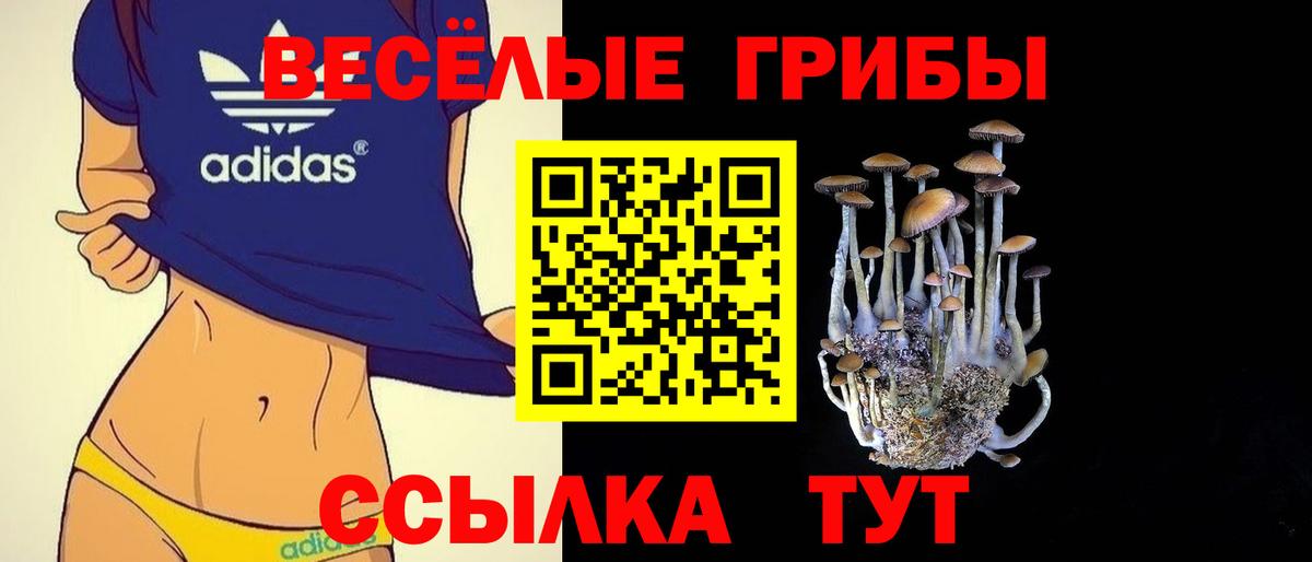 Псилоцибиновые грибы Cubensis Электрогорск